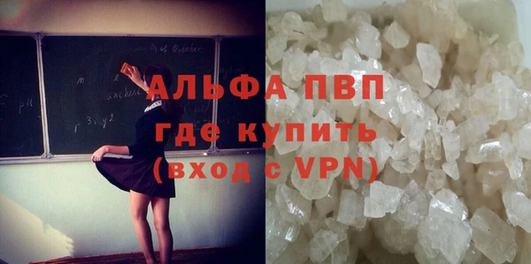 дмт Белокуриха