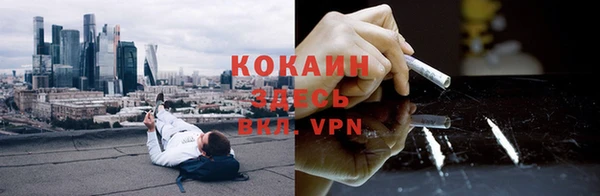 ГАЛЛЮЦИНОГЕННЫЕ ГРИБЫ Беломорск