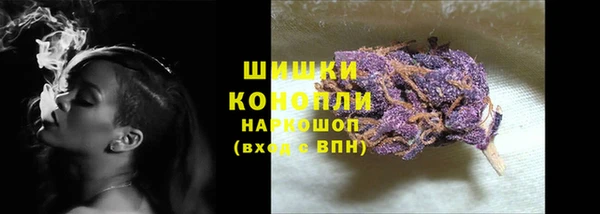 ГАЛЛЮЦИНОГЕННЫЕ ГРИБЫ Беломорск