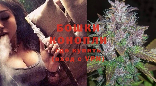дмт Белокуриха