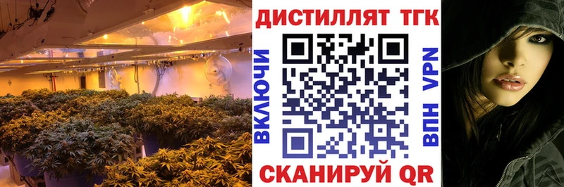 ТГК концентрат  Окуловка 