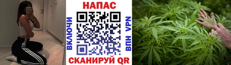 Марихуана план Окуловка